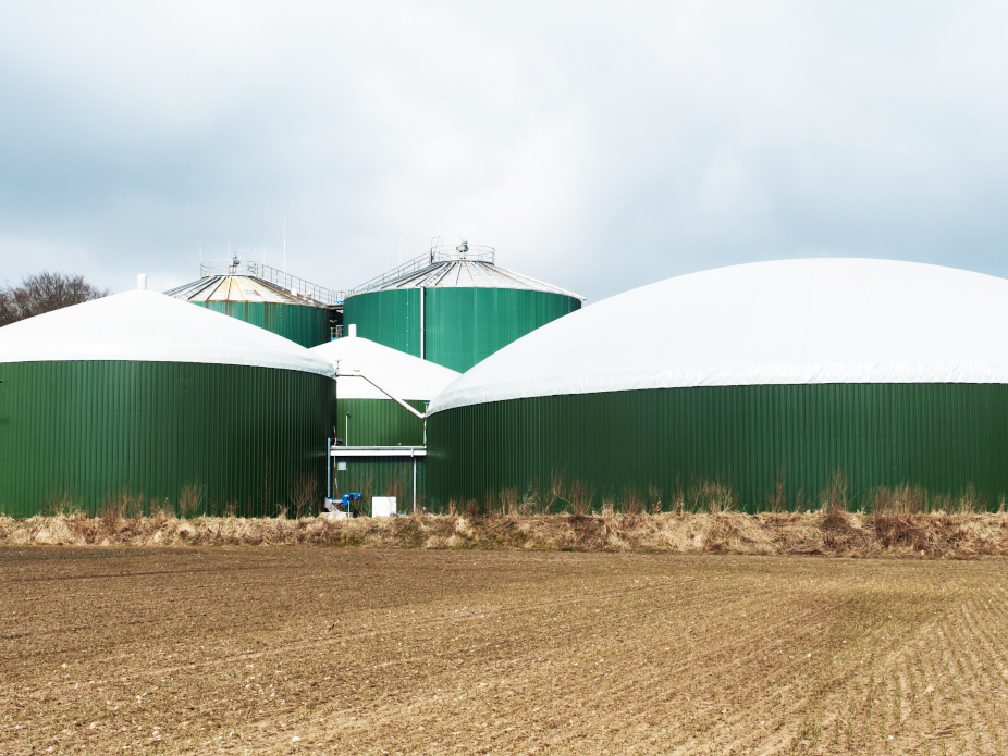 Dairy Digesters