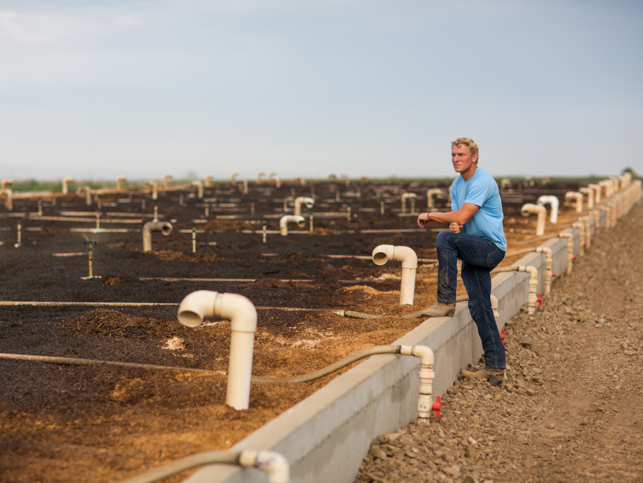 Austin Allred innovates for his dairy farm